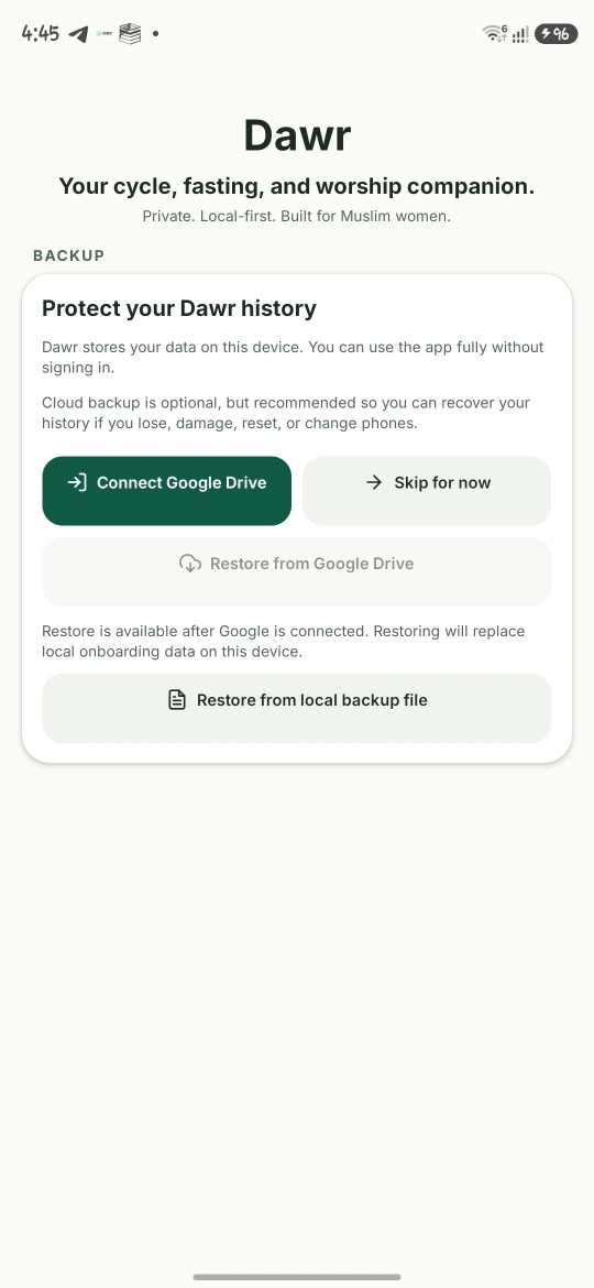 DAWR optional backup screen with Google Drive and local backup choices